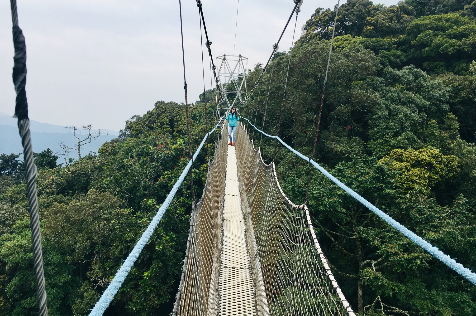 Hallgatói történetek Ruandában - kötélhíd