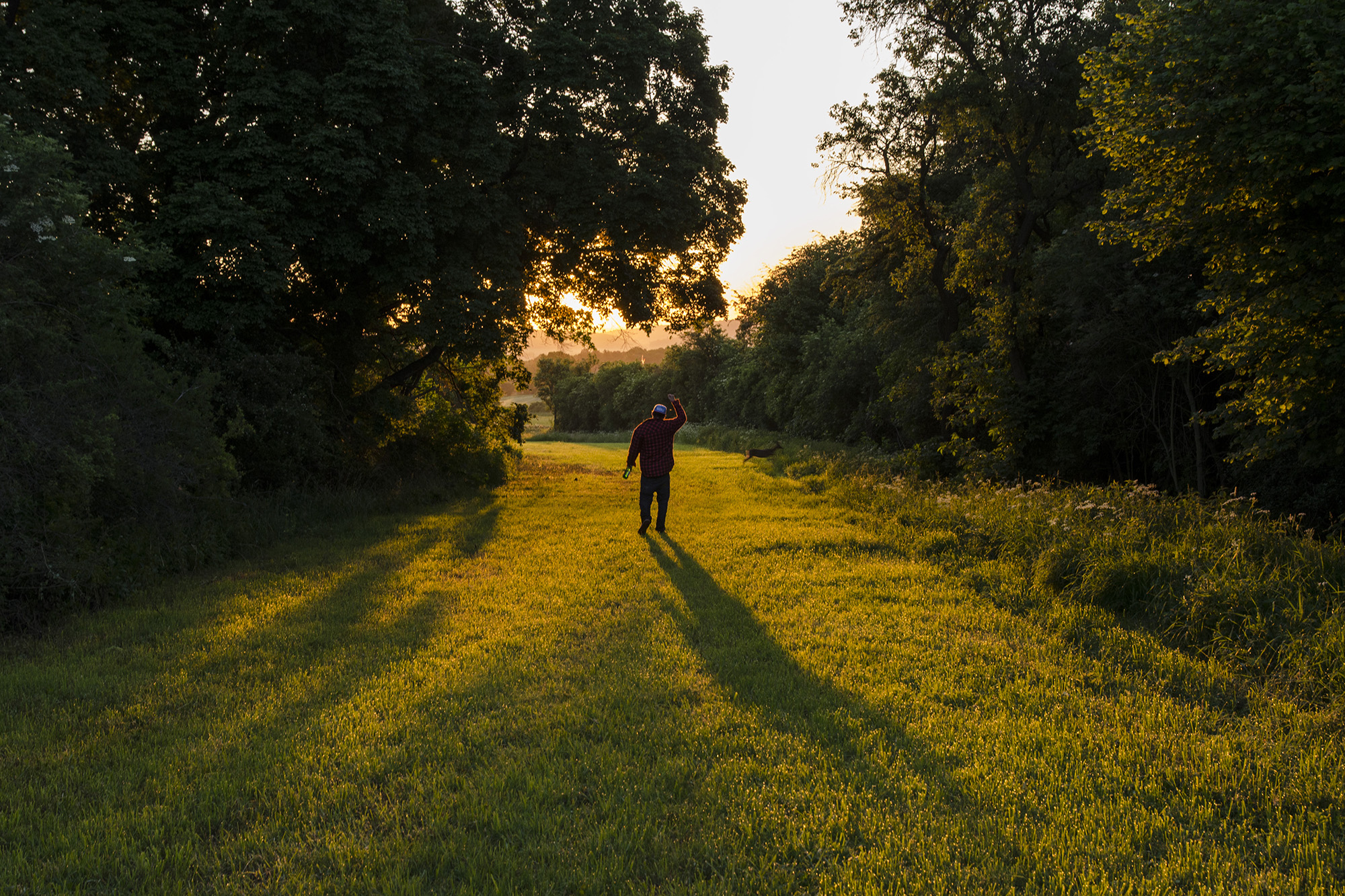 Hallgatói történetek - napkelte