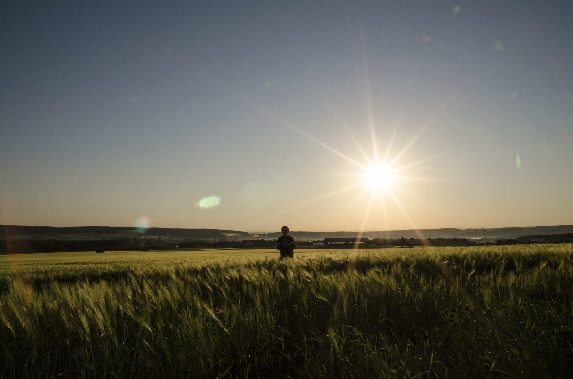 Hallgatói történetek - Szalai Dániel - Napfelkelte