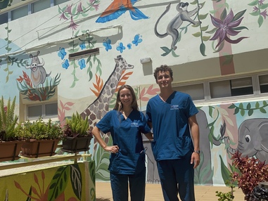 Egy f&eacute;l&eacute;v Cipruson: szakmai fejlőd&eacute;s, &ouml;nismeret &eacute;s &eacute;letre sz&oacute;l&oacute; tapasztalatok