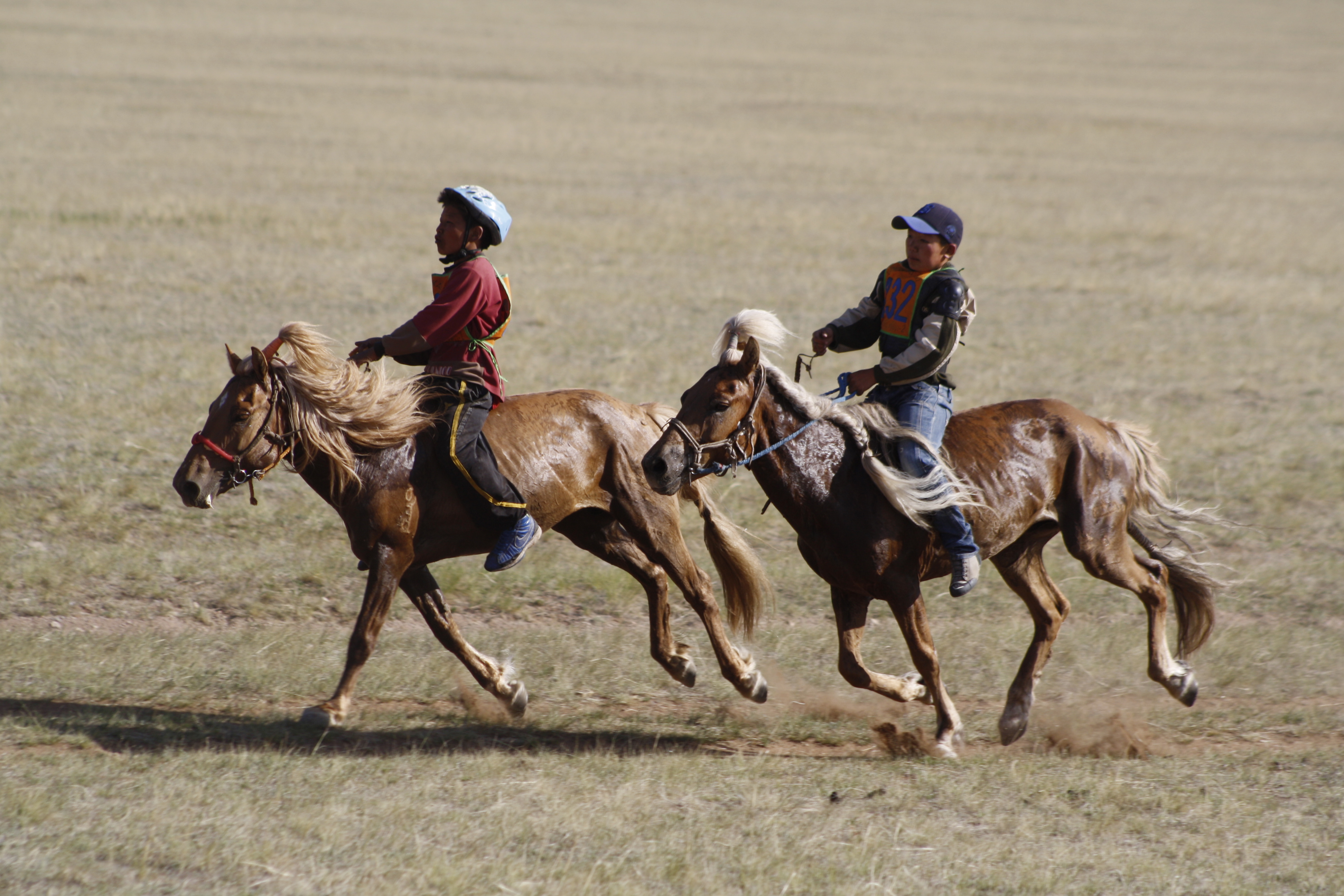 2 mongol lovas mongol lovakon lovagol a pusztán